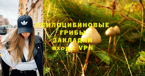 стафф Алзамай